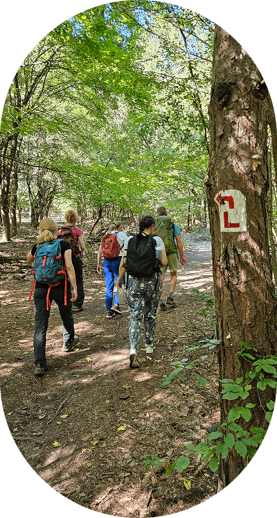 kisebb túracsoport hátulról fotózva, kellemes időben