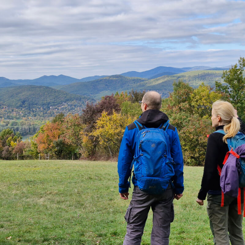 Erdei kápolna és források a Visegrádi-hegységben - Image 2