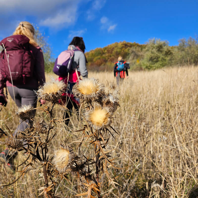 Turisták haladnak egy mezőn egy domb felé.