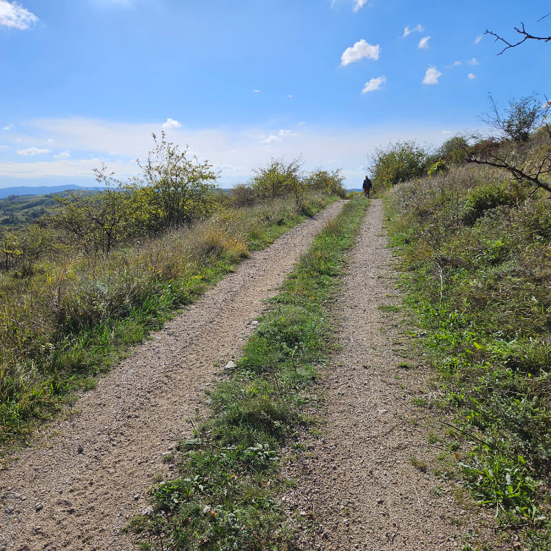 Földes-füves út, szikrázó napsütés.