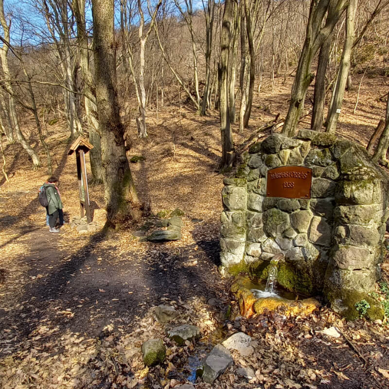 Hármas-forrás, háttérben egy turista egy ismertető táblát olvas.