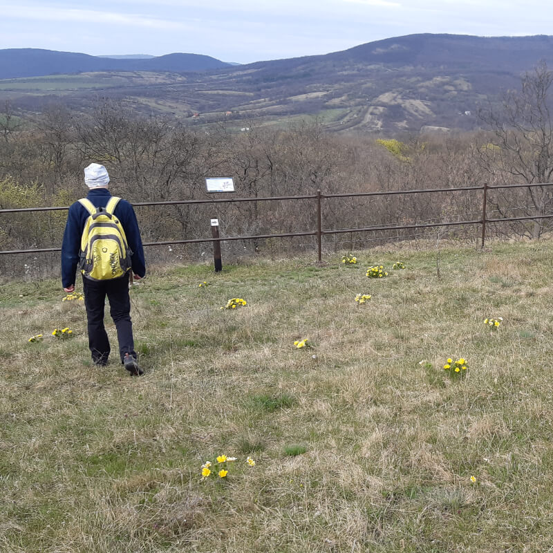 Korlát az andezitbánya bemutatóhelynél, előtte egy turista.