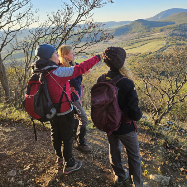 Tájékozódási tréning