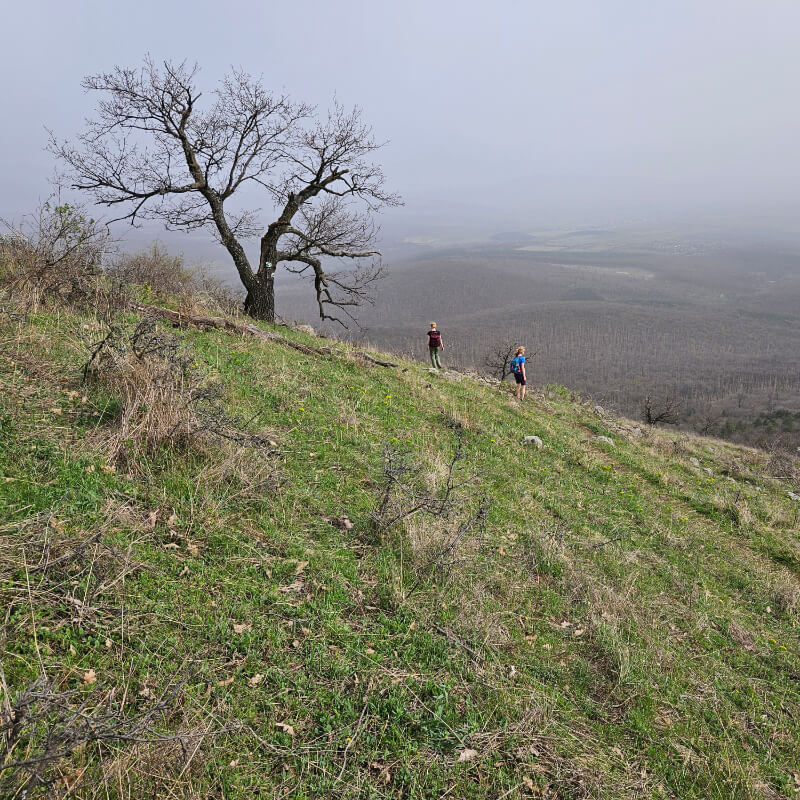 Turisták a Világos-vár füves oldalában.