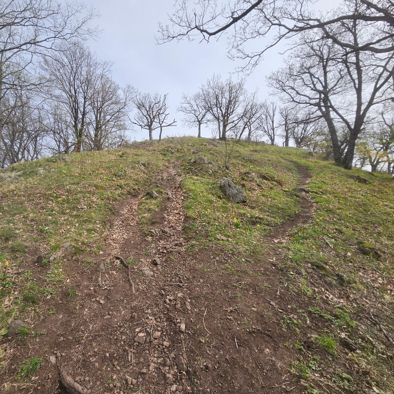 Füves-fás hegytető.